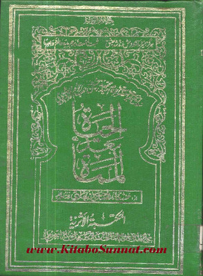 الحياة بعد المماة